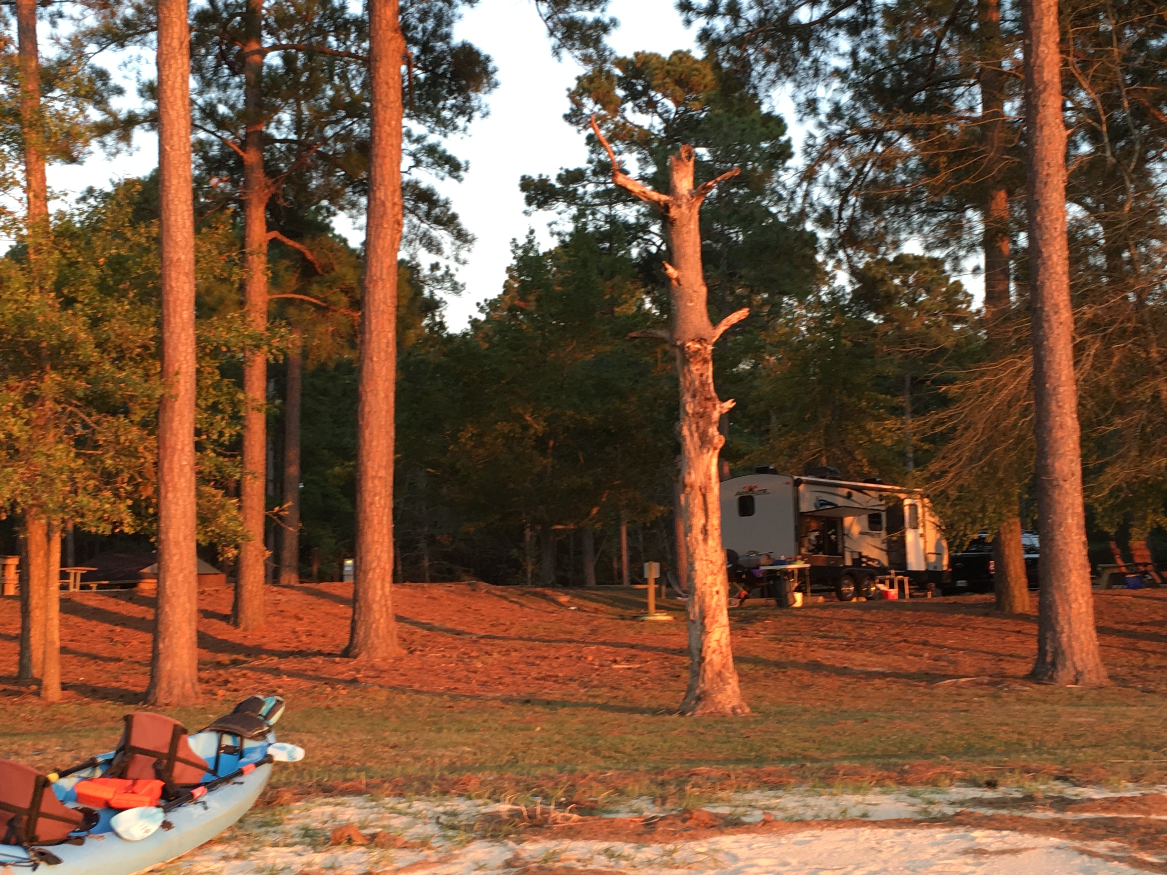 Camper submitted image from Cotton Hill - 3