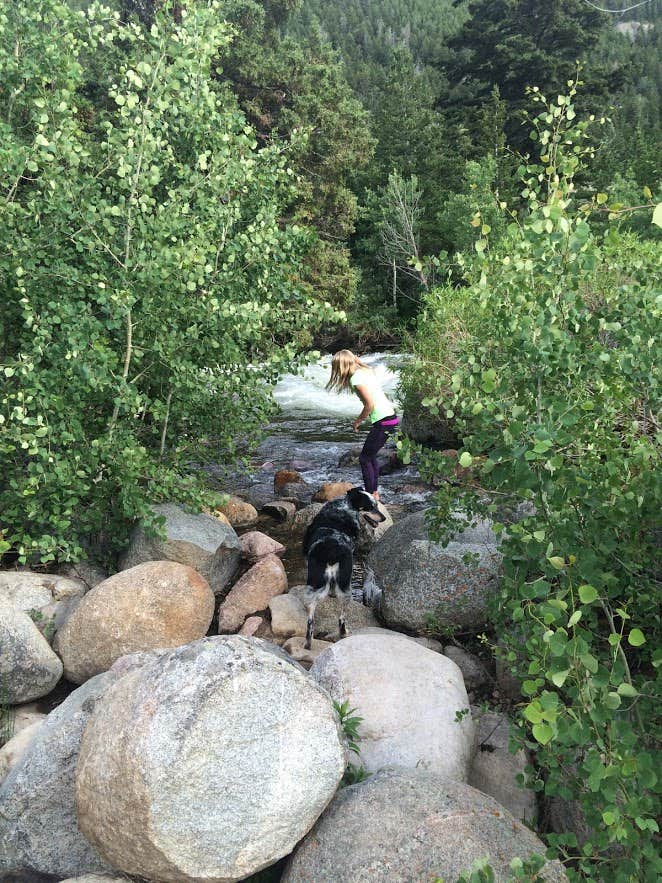 Sarah N.'s photo of camping with pets at Sinks Campground — Sinks Canyon State Park near Riverton, WY