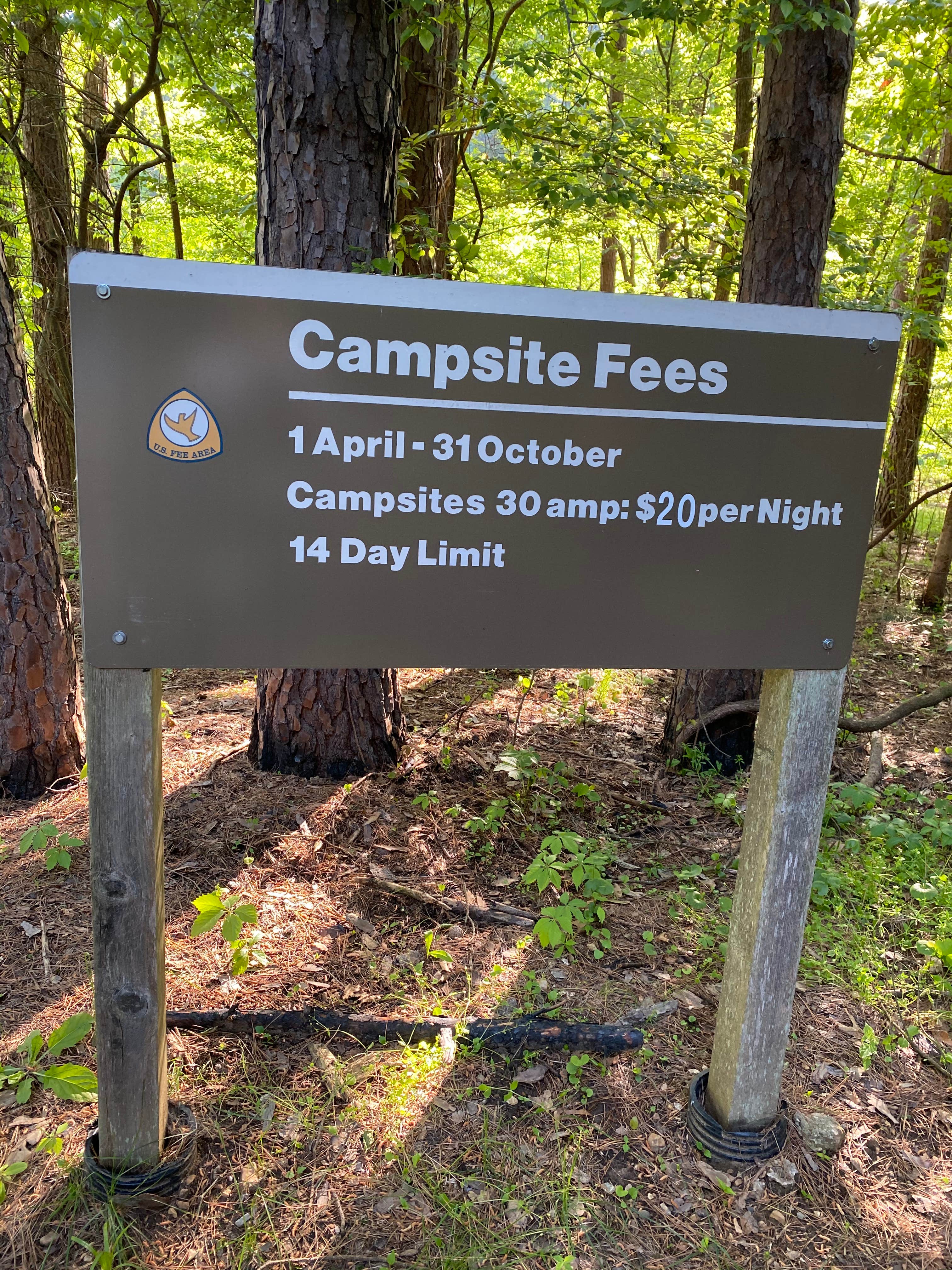 Camper submitted image from Dam Site River - Beaver Lake - 5