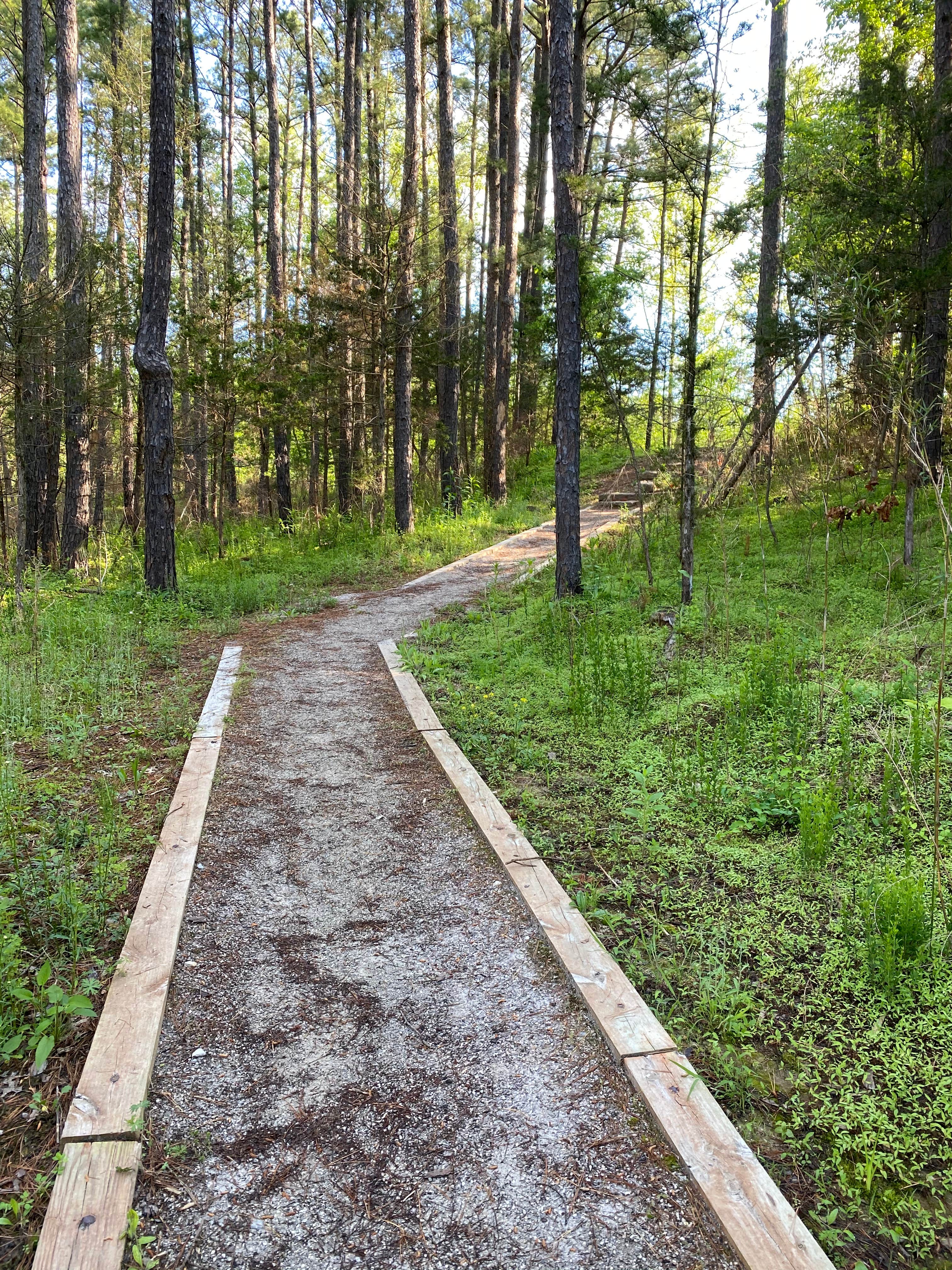 Camper-submitted photo at Dam Site River - Beaver Lake near Beaver Lake