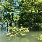 Review photo of Lake Ouachita State Park Campground by Lacee G., May 29, 2020