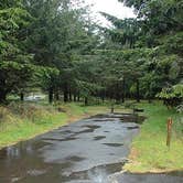 Review photo of Cape Disappointment State Park Campground by Alicia F., June 1, 2020