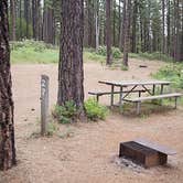 Review photo of Cape Disappointment State Park Campground by Alicia F., June 1, 2020