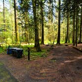 Review photo of Cape Disappointment State Park Campground by Alicia F., June 1, 2020
