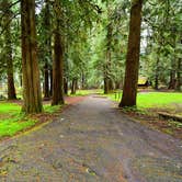 Review photo of Cape Disappointment State Park Campground by Alicia F., June 1, 2020