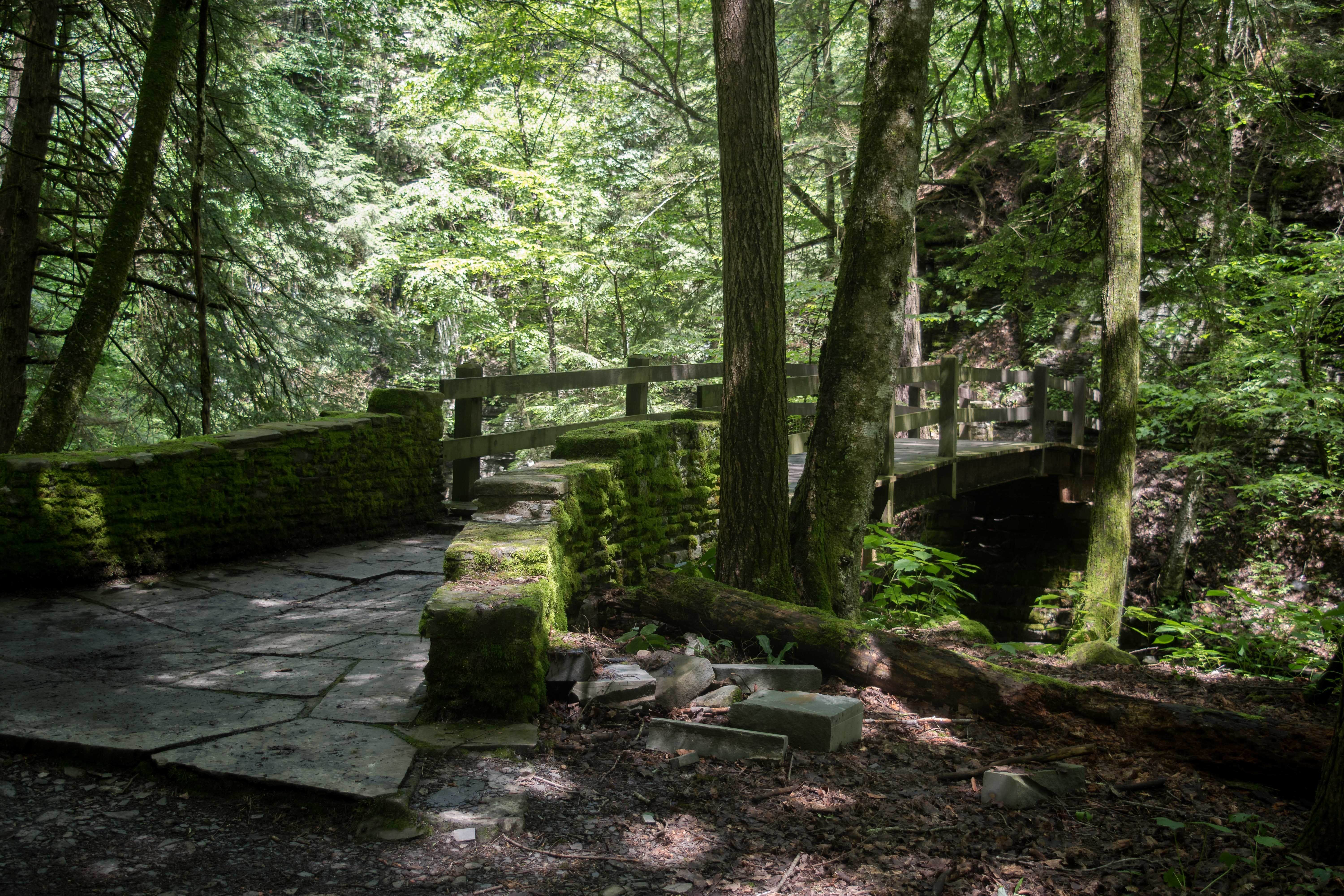 Camper-submitted photo at Fillmore Glen State Park Campground near Brooktondale, NY