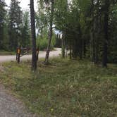Review photo of Trail River by Joshua L., July 1, 2016