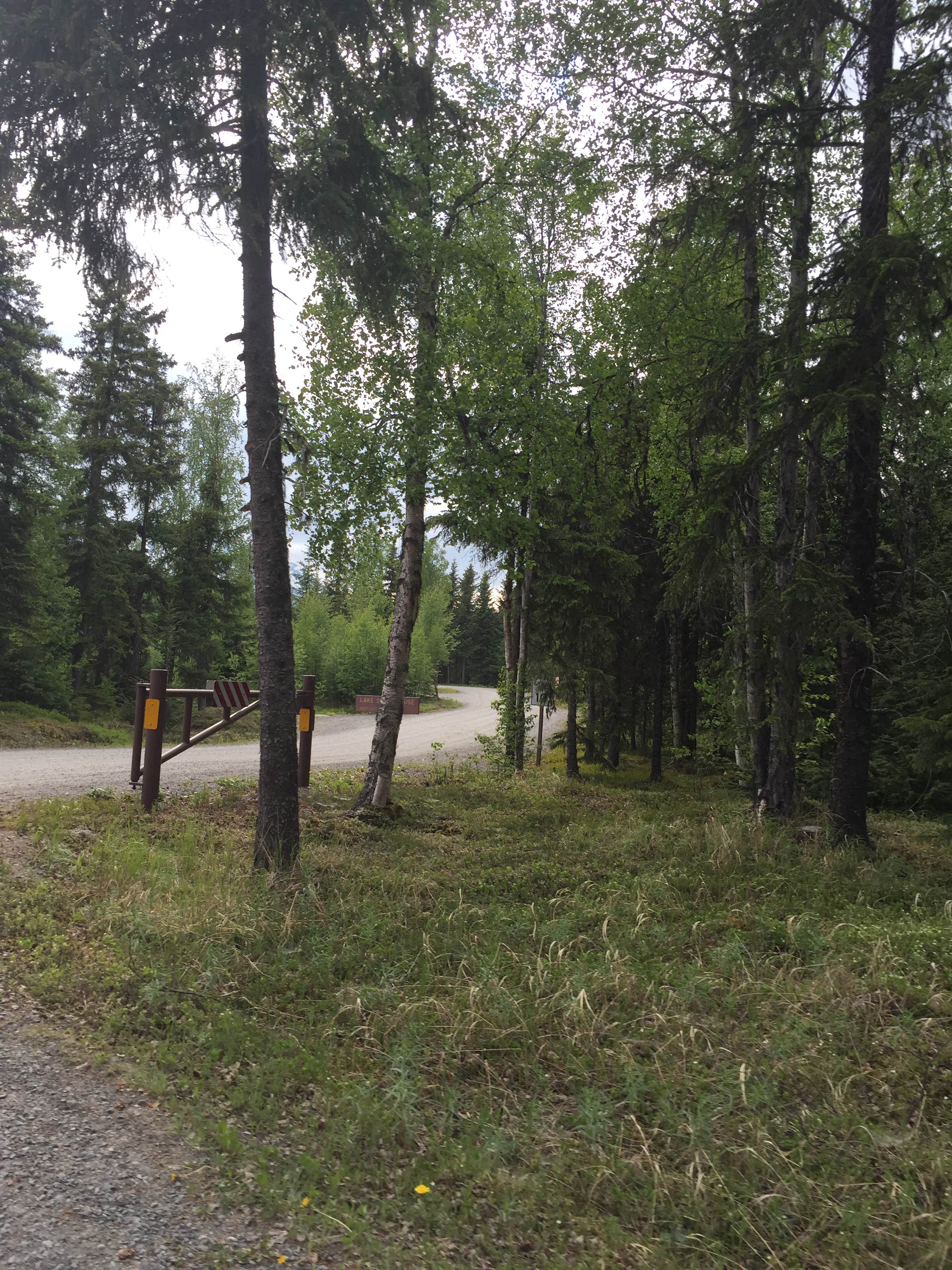 Camper submitted image from Trail River - 2