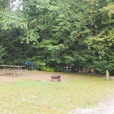 Review photo of Lincoln / Woodstock KOA by Jean C., June 1, 2020