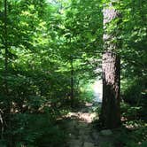 Review photo of Ledges State Park Campground by Willy W., June 1, 2020