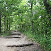 Review photo of Ledges State Park Campground by Willy W., June 1, 2020