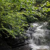 Review photo of Fillmore Glen State Park Campground by Tara S., October 11, 2017