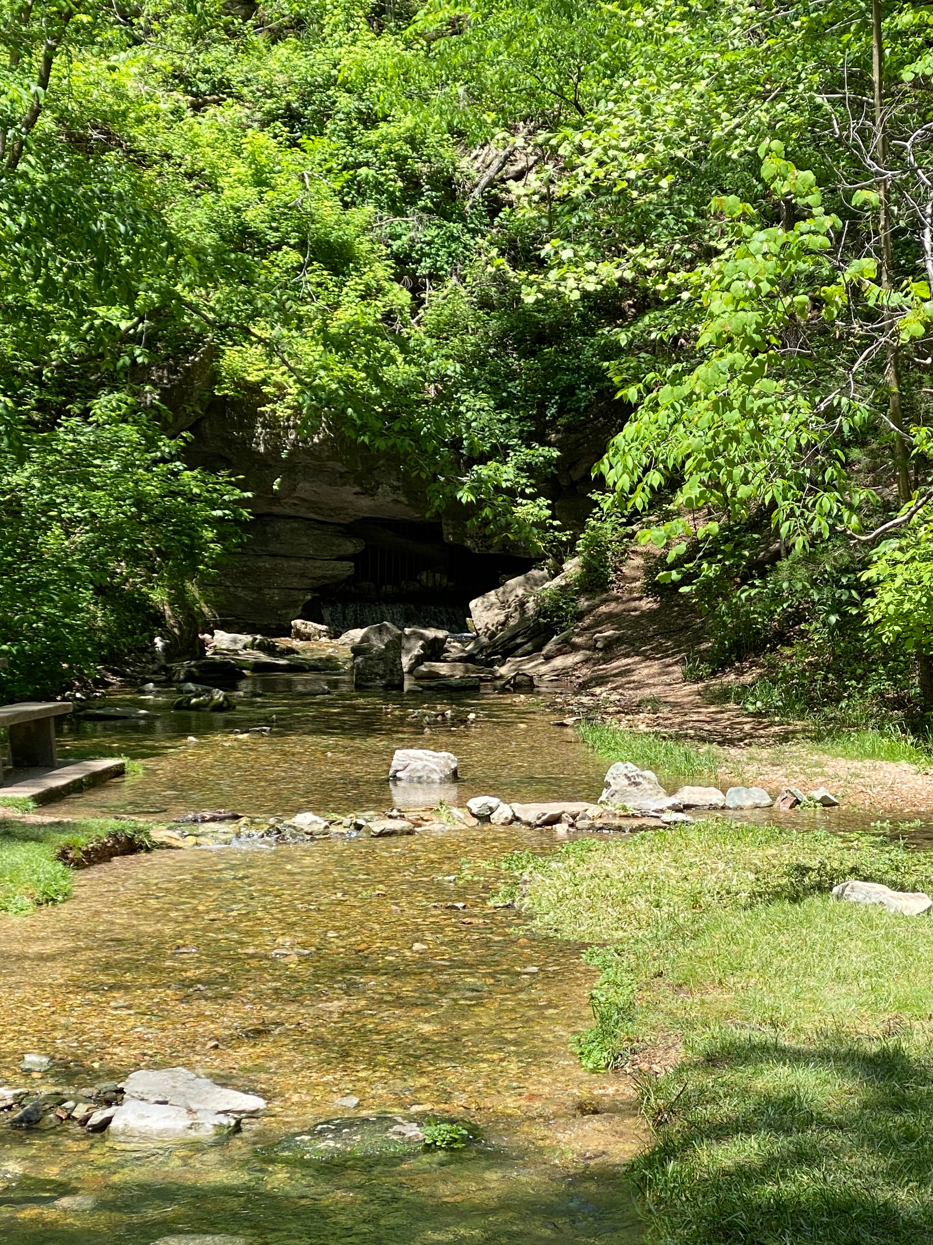 Blowing Springs creek