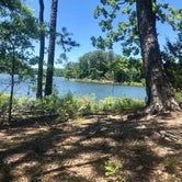 Review photo of Lake Ouachita State Park Campground by Lacee G., May 29, 2020