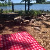 Review photo of Lake Ouachita State Park Campground by Lacee G., May 29, 2020