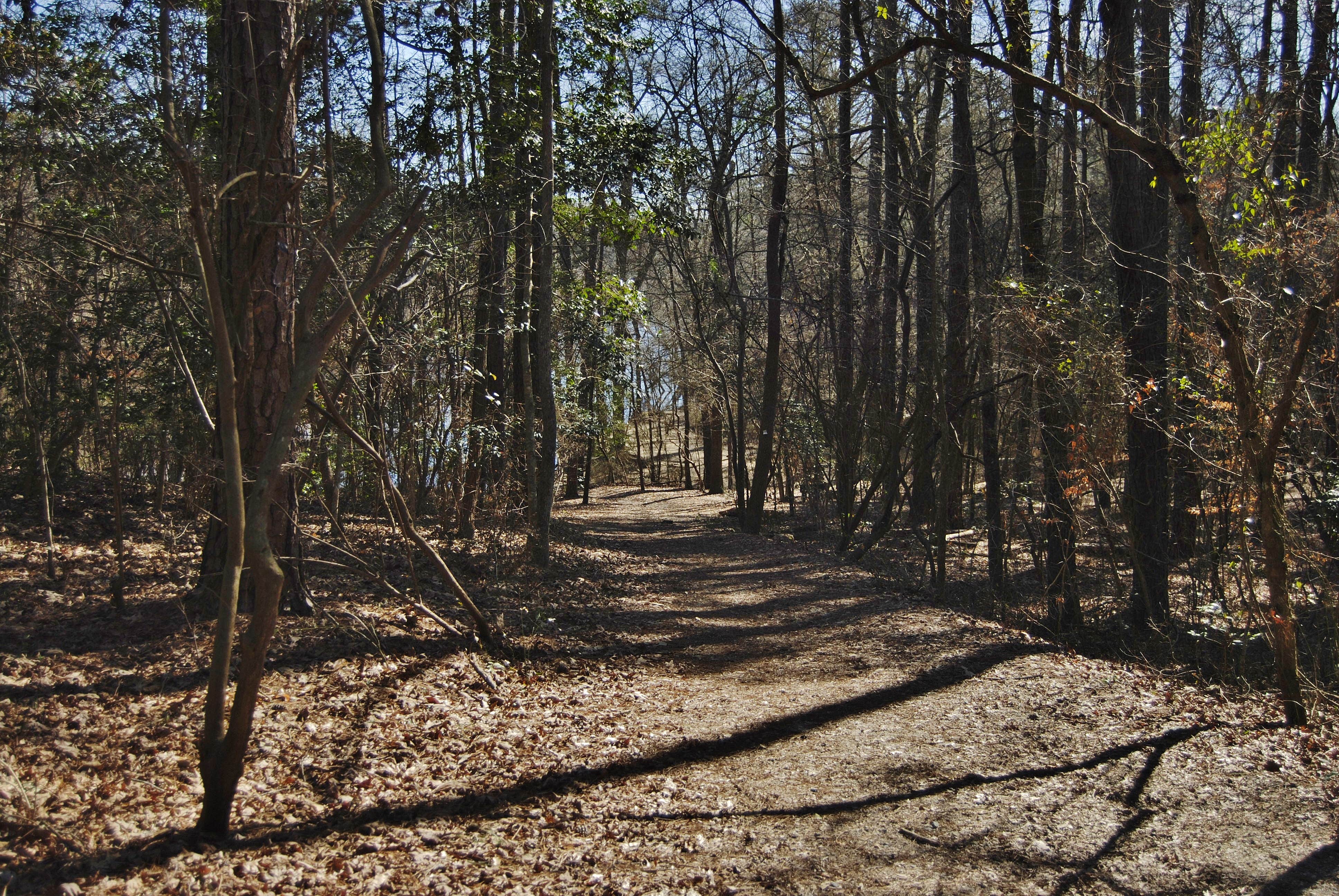 Camper-submitted photo at Cliffs of the Neuse State Park Campground near Kinston, NC