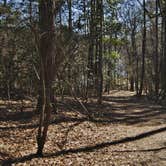 Review photo of Cliffs of the Neuse State Park Campground by Myron C., June 1, 2020