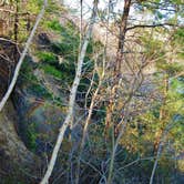 Review photo of Cliffs of the Neuse State Park Campground by Myron C., June 1, 2020