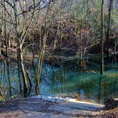 Review photo of Cliffs of the Neuse State Park Campground by Myron C., June 1, 2020