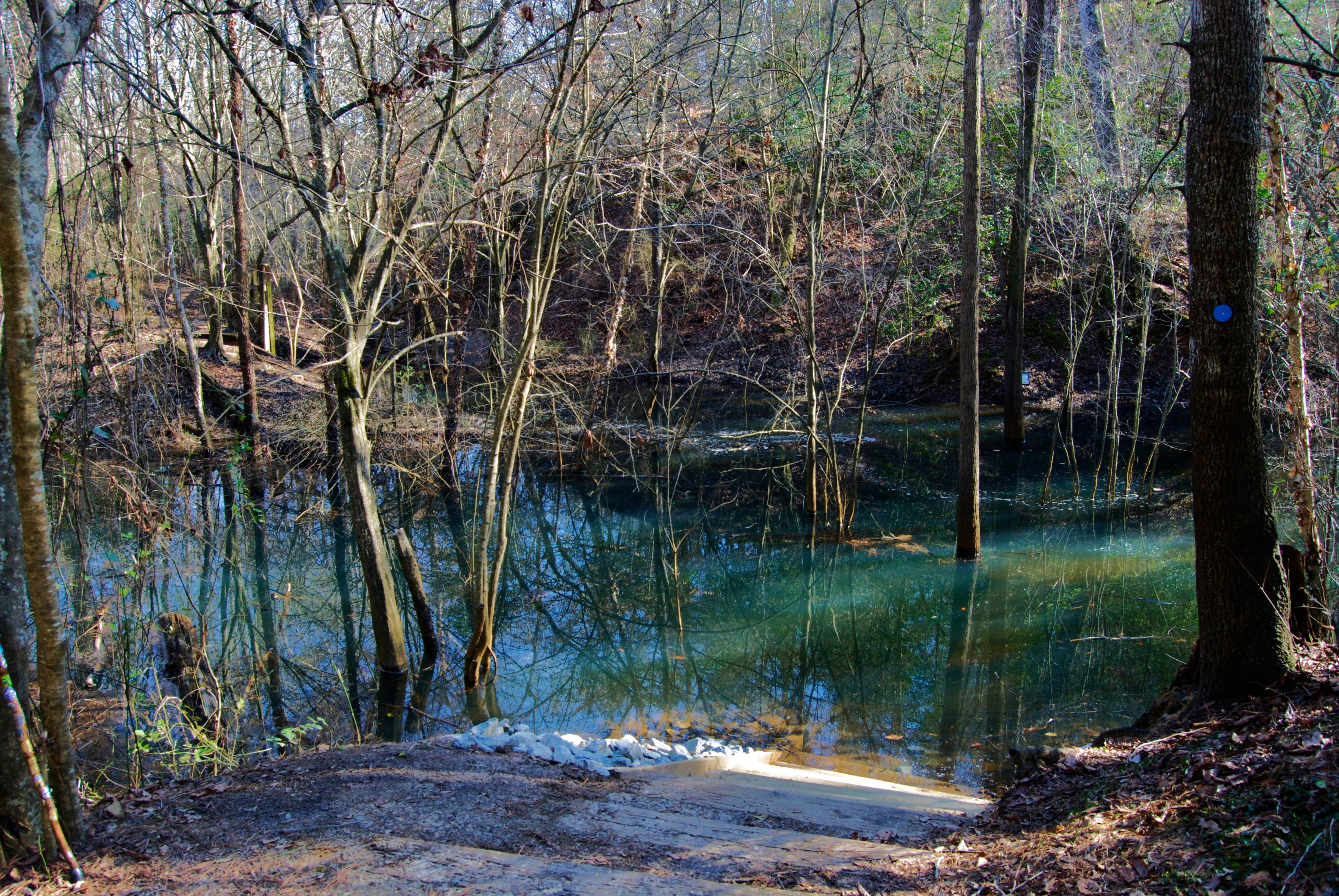 Escape to Serenity: Uncovering the Magic of Cliffs of the Neuse State Park