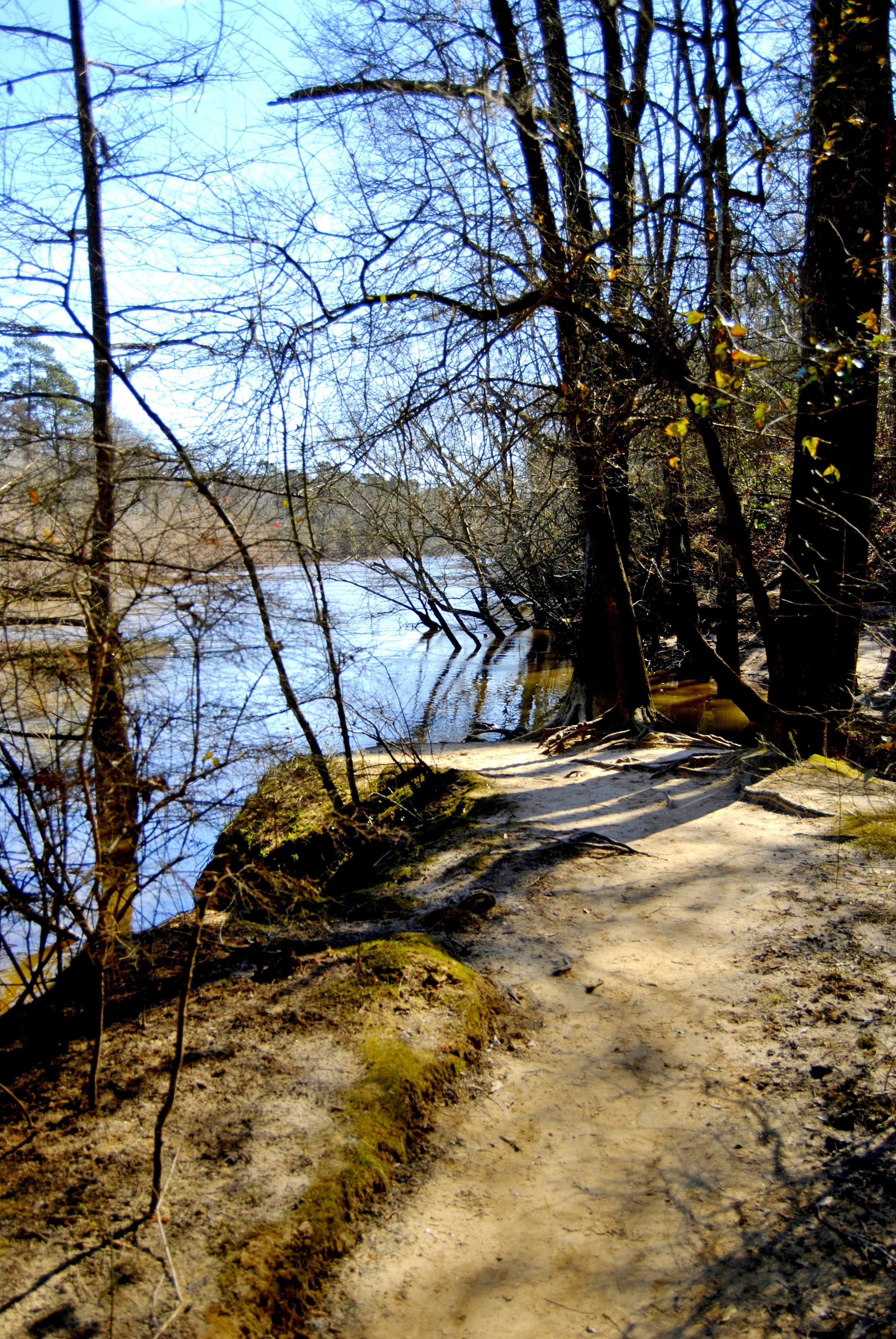 Camper-submitted photo at Cliffs of the Neuse State Park Campground near Kinston, NC