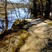 Review photo of Cliffs of the Neuse State Park Campground by Myron C., June 1, 2020