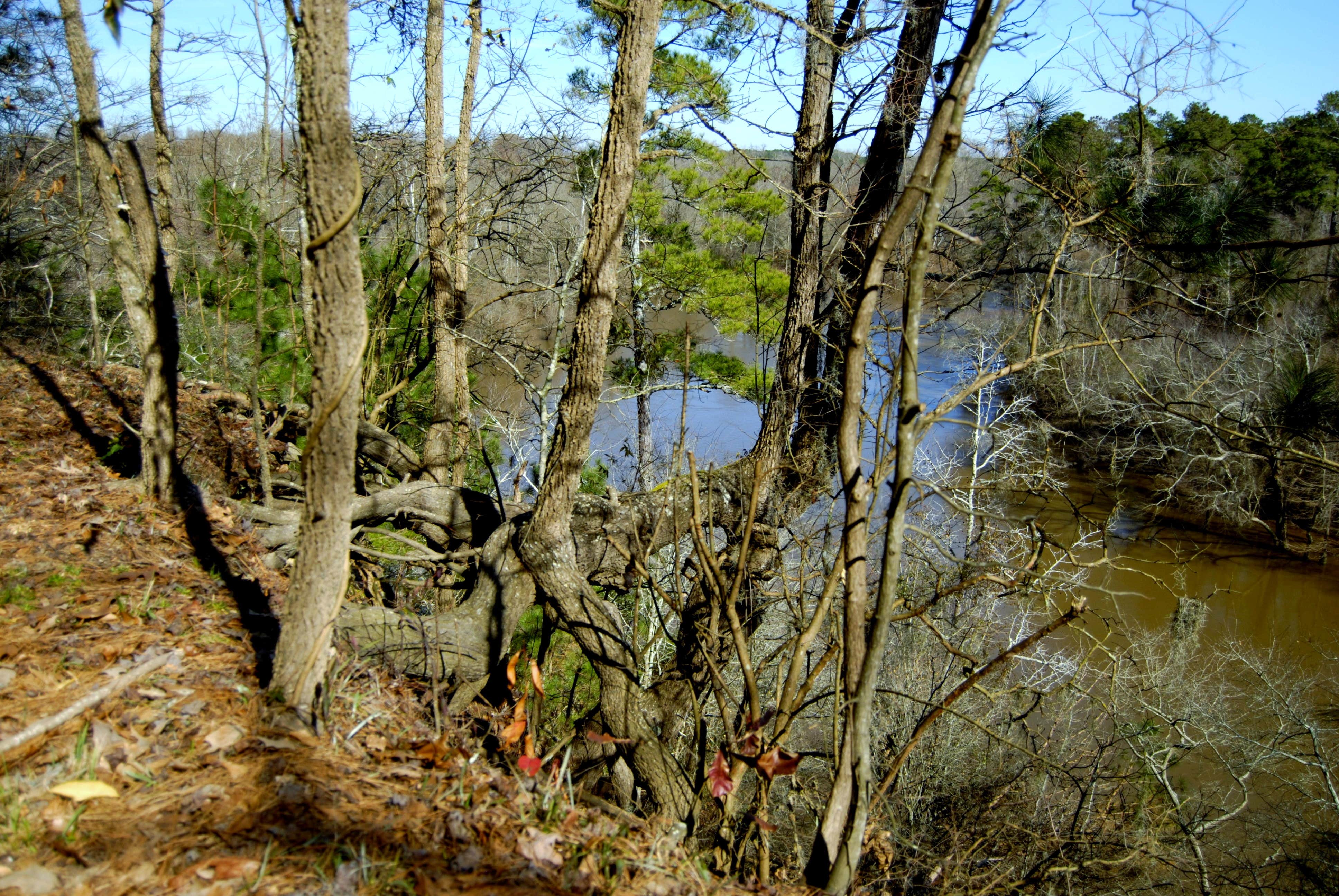 Camper-submitted photo at Cliffs of the Neuse State Park Campground near Kinston, NC