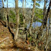 Review photo of Cliffs of the Neuse State Park Campground by Myron C., June 1, 2020