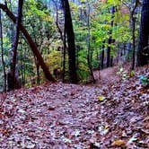 Review photo of Cliffs of the Neuse State Park Campground by Myron C., June 1, 2020