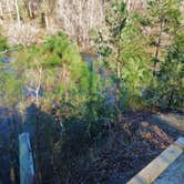 Review photo of Cliffs of the Neuse State Park Campground by Myron C., June 1, 2020