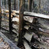 Review photo of Cliffs of the Neuse State Park Campground by Myron C., June 1, 2020