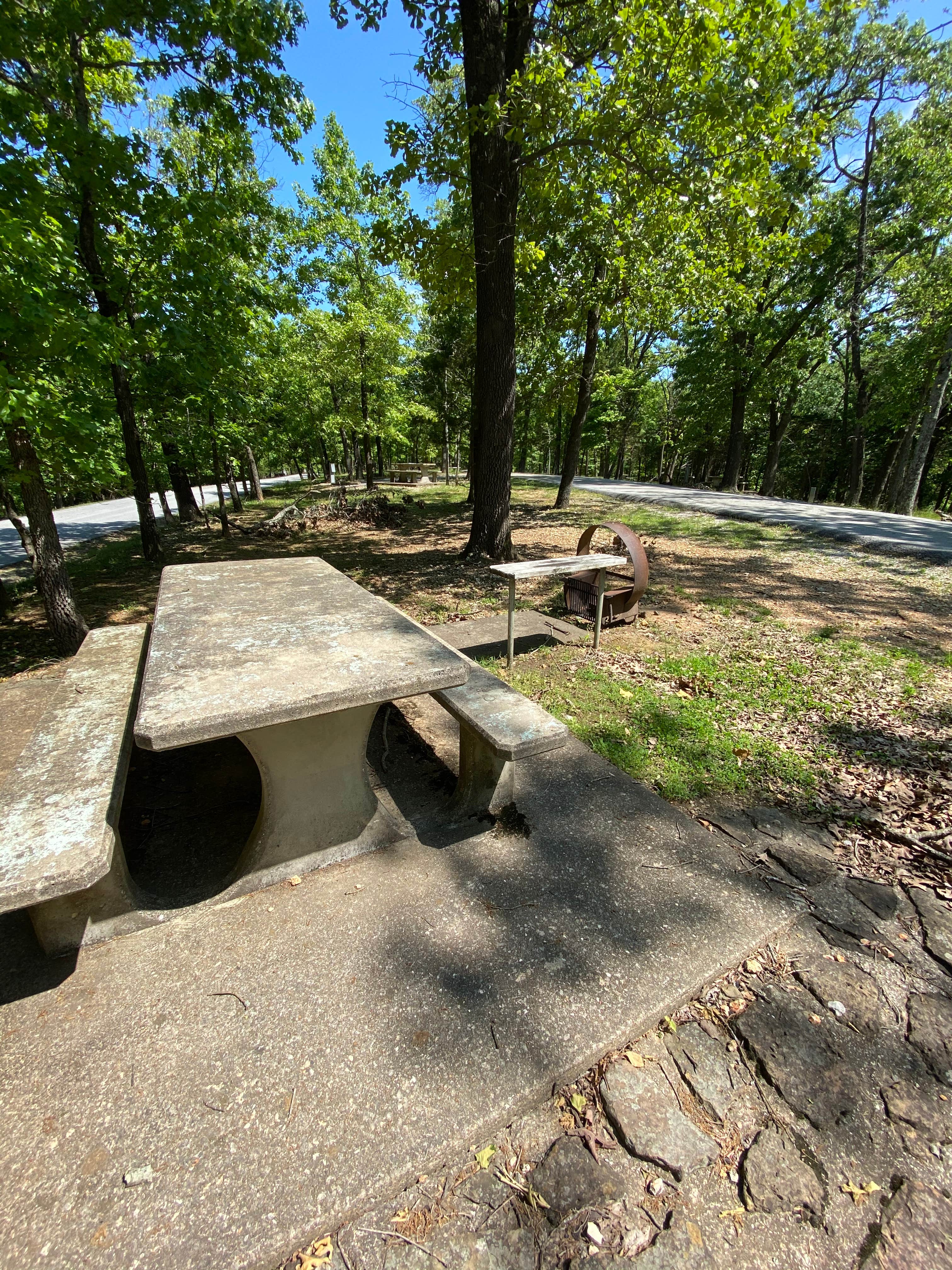 Annie C.'s photo of camping with pets at Prairie Creek (AR) near Cave Springs, AR