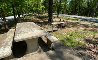 Annie C.'s photo of camping with pets at Prairie Creek (AR) near Greenland, AR