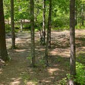 Review photo of Cheaha Falls Campground by Asher K., June 1, 2020