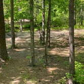 Review photo of Cheaha Falls Campground by Asher K., June 1, 2020