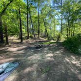 Review photo of Cheaha Falls Campground by Asher K., June 1, 2020