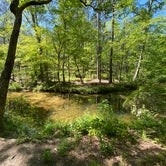 Review photo of Cheaha Falls Campground by Asher K., June 1, 2020