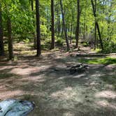 Review photo of Cheaha Falls Campground by Asher K., June 1, 2020