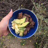 Review photo of Bluffs Campground — San Onofre State Beach by Chanel C., October 11, 2017