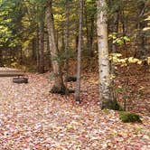 Review photo of Mollidgewock State Park Campground by Jean C., June 1, 2020