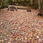 Review photo of Mollidgewock State Park Campground by Jean C., June 1, 2020