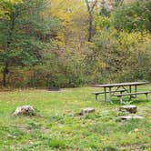 Review photo of Mollidgewock State Park Campground by Jean C., June 1, 2020