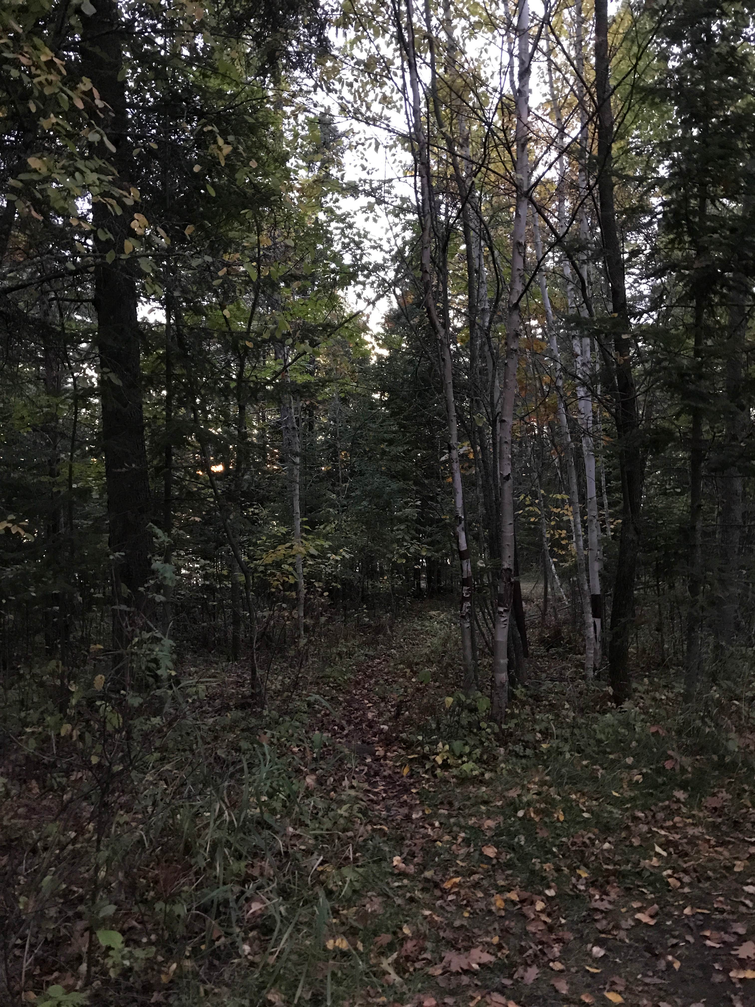 Camper submitted image from Noma Lake Campground - 2