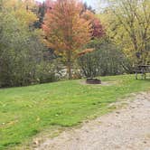 Review photo of Mollidgewock State Park Campground by Jean C., June 1, 2020