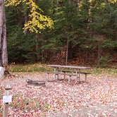Review photo of Mollidgewock State Park Campground by Jean C., June 1, 2020