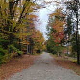 Review photo of Mollidgewock State Park Campground by Jean C., June 1, 2020