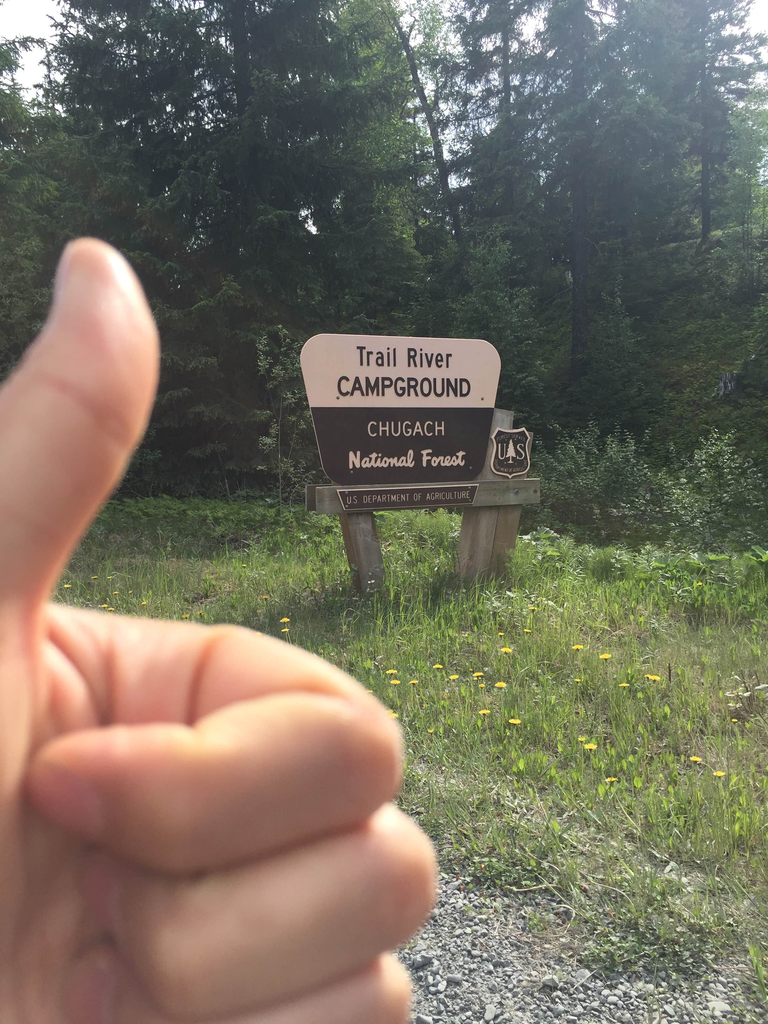 Camper submitted image from Trail River - 5