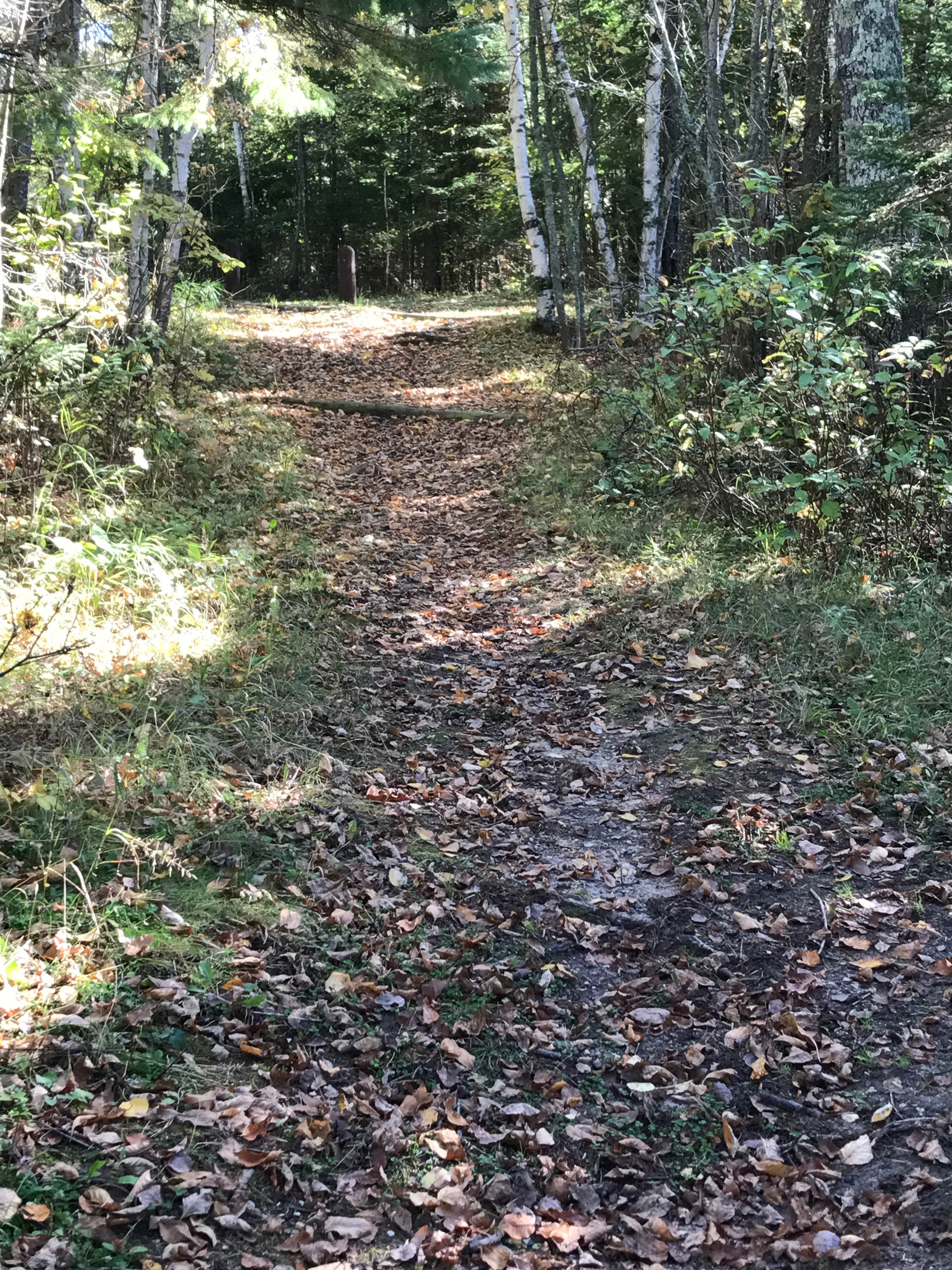 Camper submitted image from Noma Lake Campground - 3