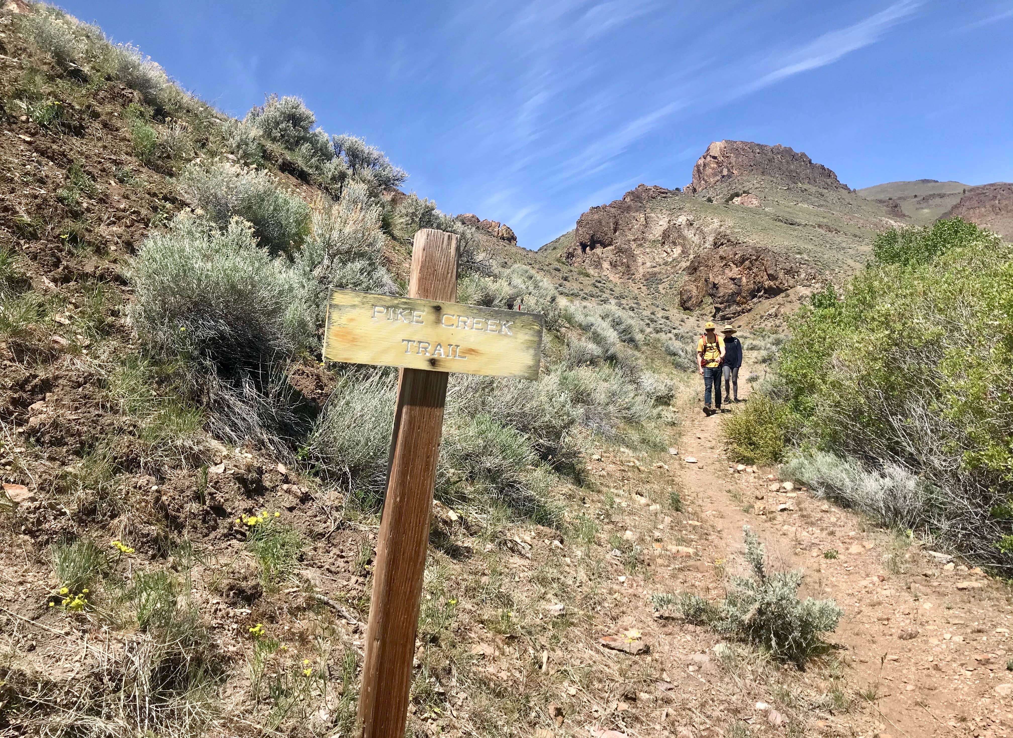 Camper submitted image from Pike Creek Primitive Camp at Alvord Hot Springs - 4