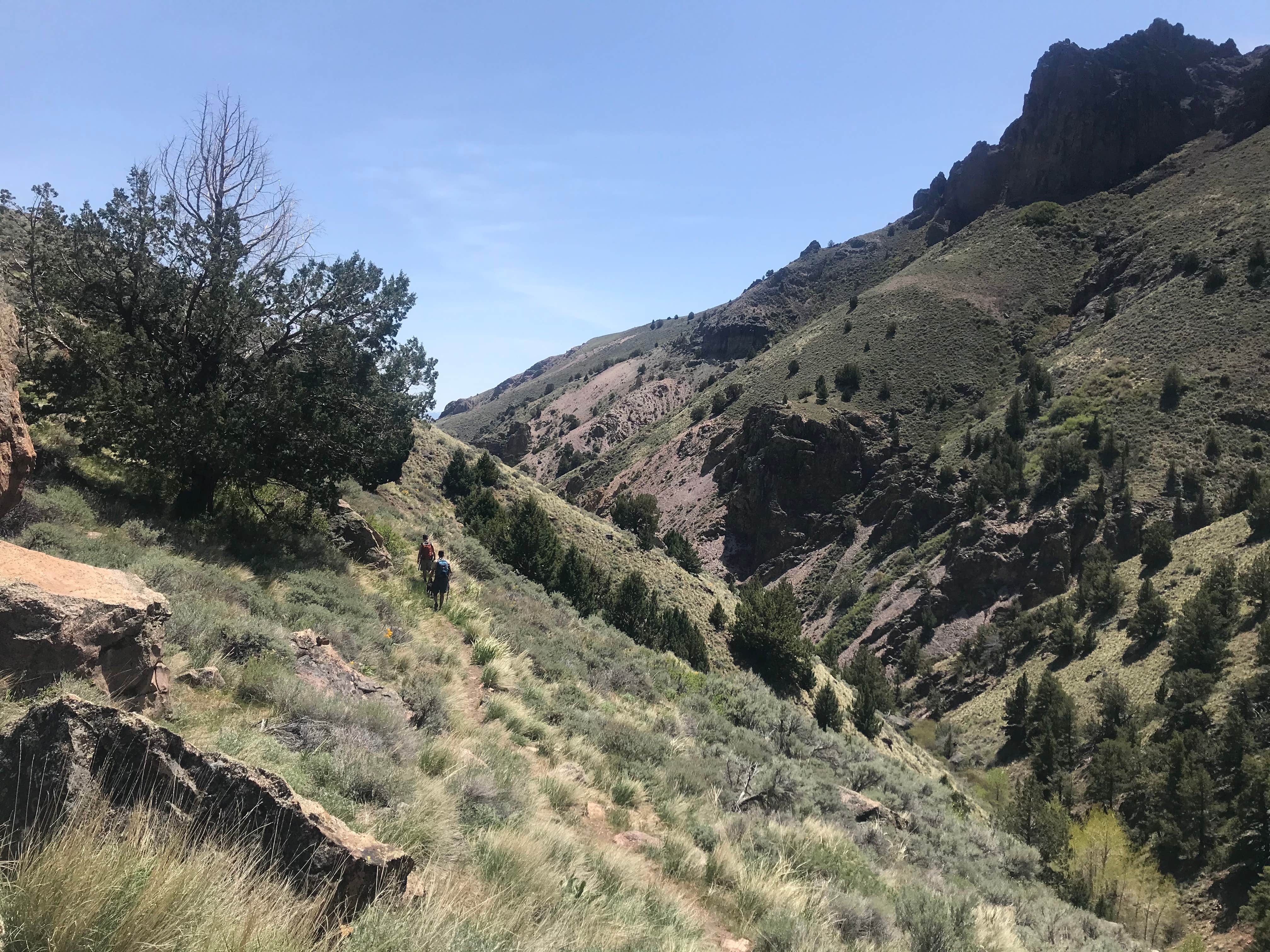 Camper-submitted photo at Pike Creek Primitive Camp at Alvord Hot Springs near Frenchglen, OR